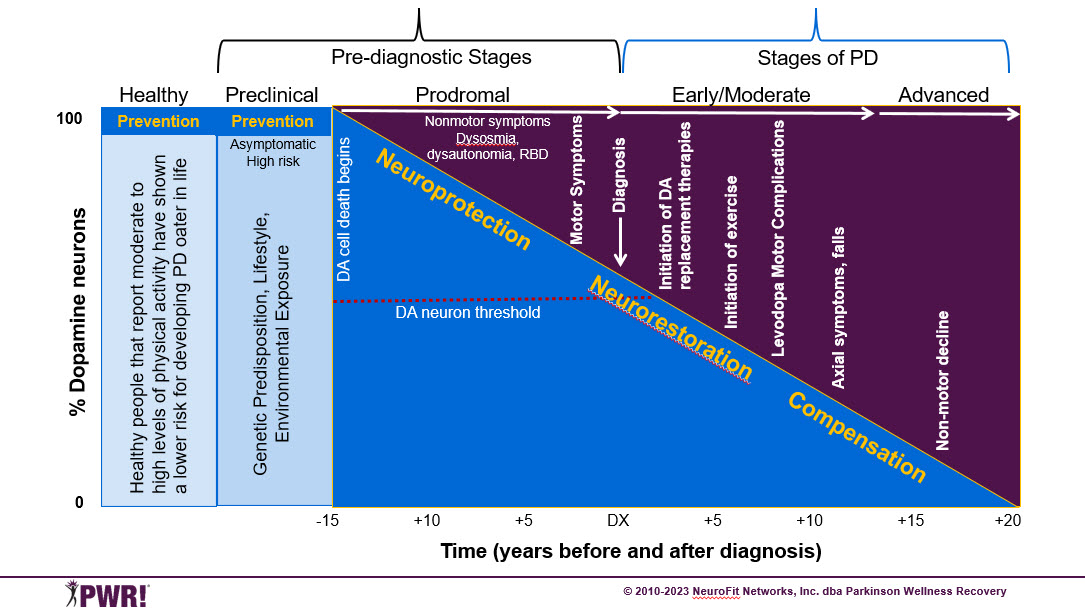 Fig2_PWR_DopamineNeurons